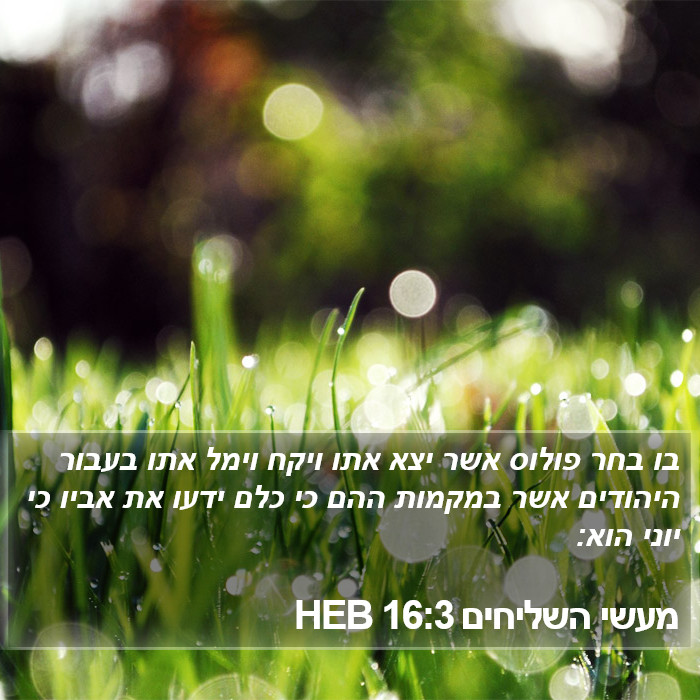 מעשי השליחים 16:3 HEB Bible Study