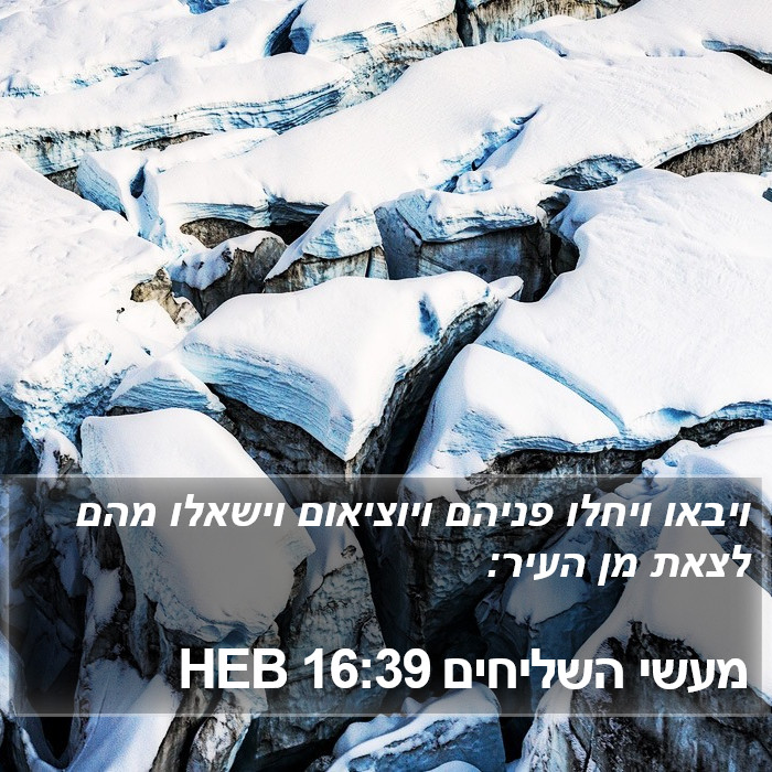 מעשי השליחים 16:39 HEB Bible Study