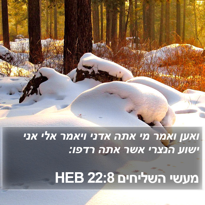 מעשי השליחים 22:8 HEB Bible Study