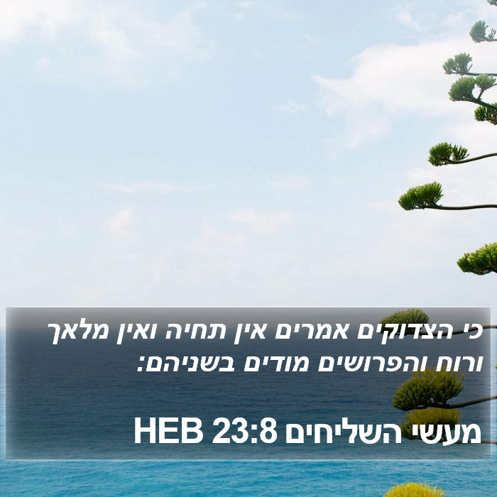 מעשי השליחים 23:8 HEB Bible Study