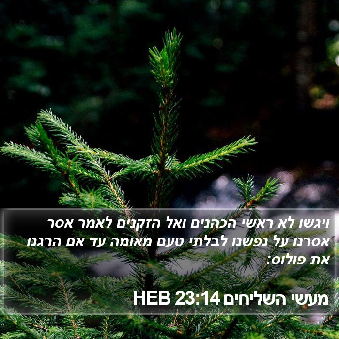 מעשי השליחים 23:14 HEB Bible Study