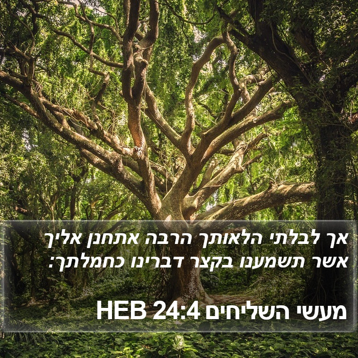 מעשי השליחים 24:4 HEB Bible Study