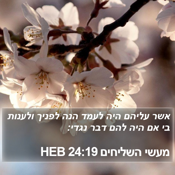 מעשי השליחים 24:19 HEB Bible Study