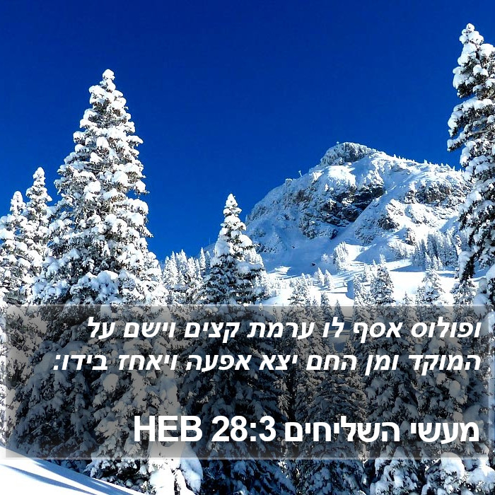 מעשי השליחים 28:3 HEB Bible Study