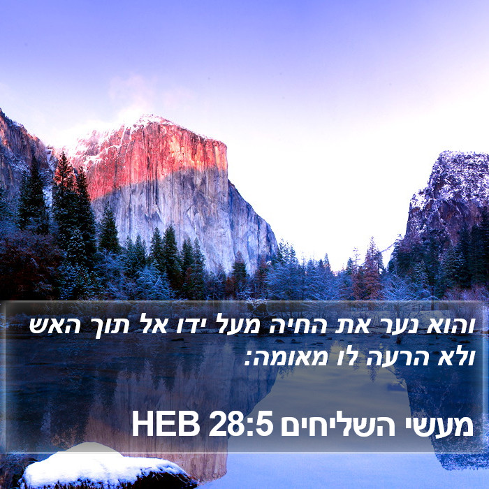 מעשי השליחים 28:5 HEB Bible Study