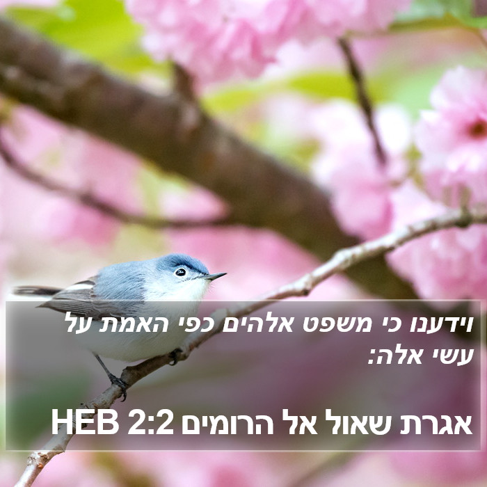 אגרת שאול אל הרומים 2:2 HEB Bible Study