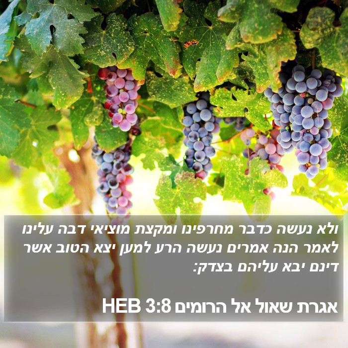 אגרת שאול אל הרומים 3:8 HEB Bible Study