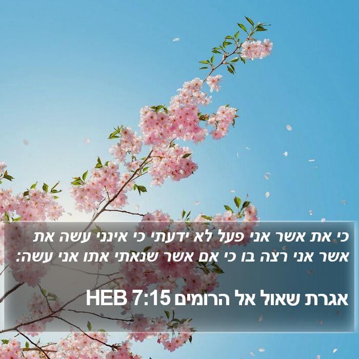 אגרת שאול אל הרומים 7:15 HEB Bible Study