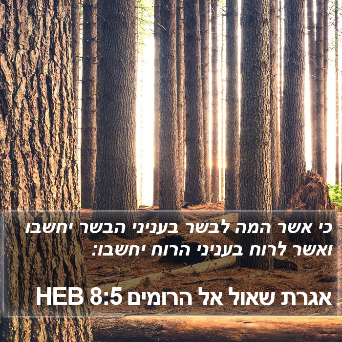 אגרת שאול אל הרומים 8:5 HEB Bible Study