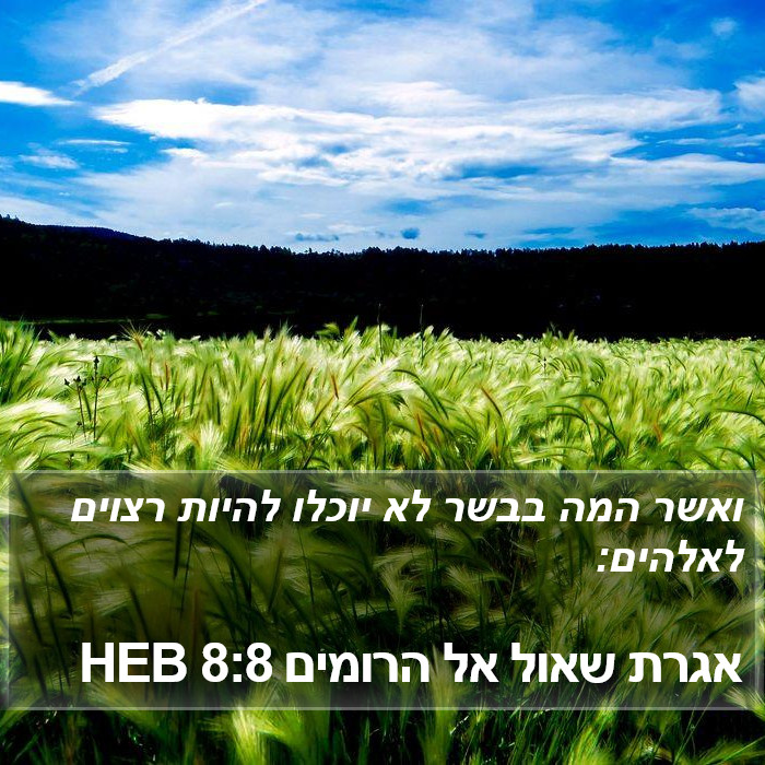 אגרת שאול אל הרומים 8:8 HEB Bible Study