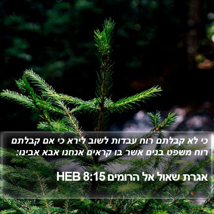 אגרת שאול אל הרומים 8:15 HEB Bible Study