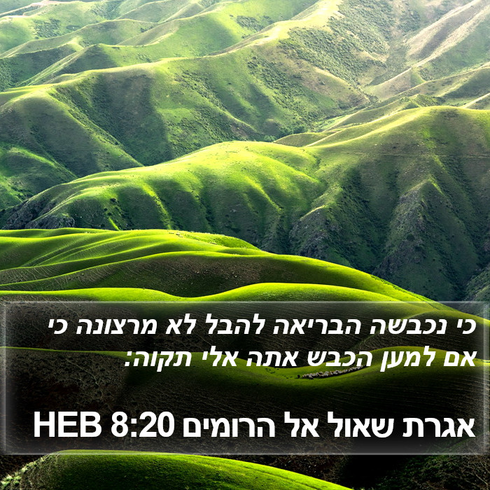 אגרת שאול אל הרומים 8:20 HEB Bible Study