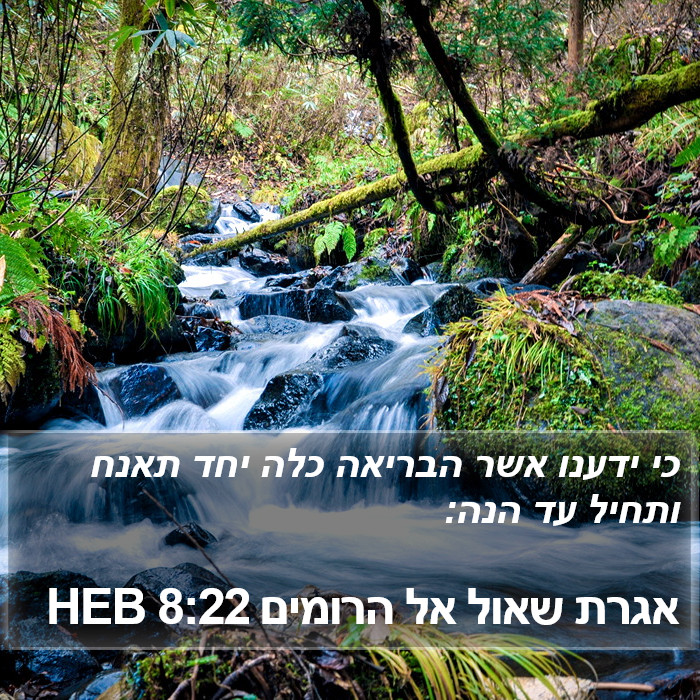 אגרת שאול אל הרומים 8:22 HEB Bible Study