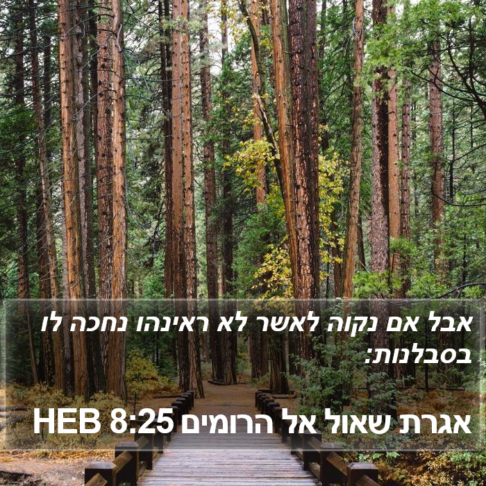 אגרת שאול אל הרומים 8:25 HEB Bible Study