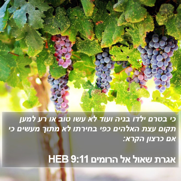 אגרת שאול אל הרומים 9:11 HEB Bible Study