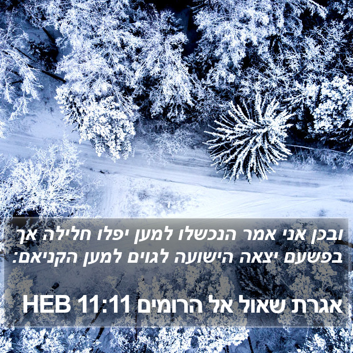 אגרת שאול אל הרומים 11:11 HEB Bible Study