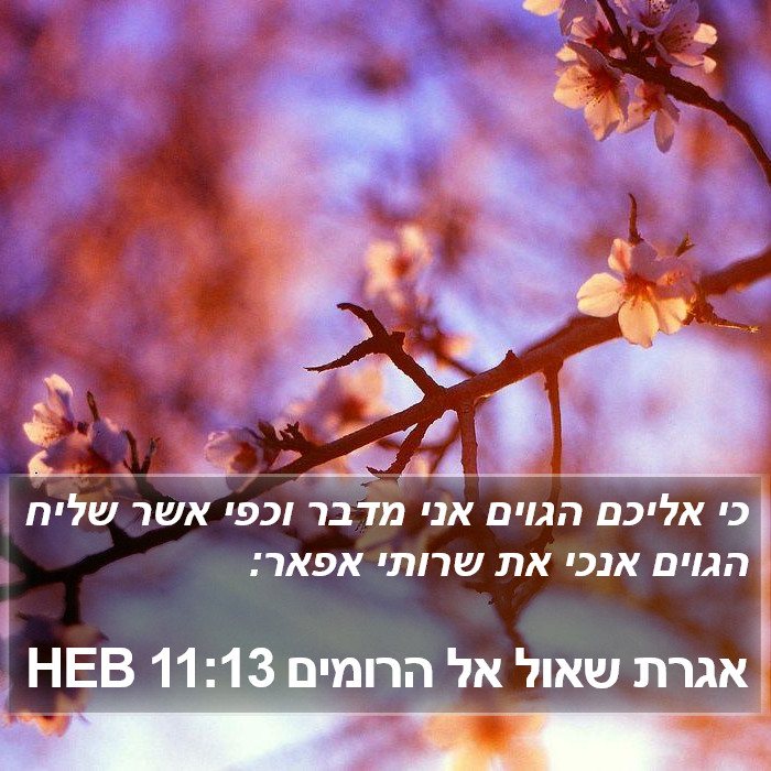 אגרת שאול אל הרומים 11:13 HEB Bible Study