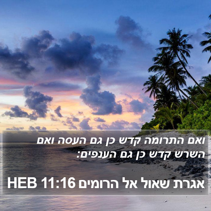 אגרת שאול אל הרומים 11:16 HEB Bible Study