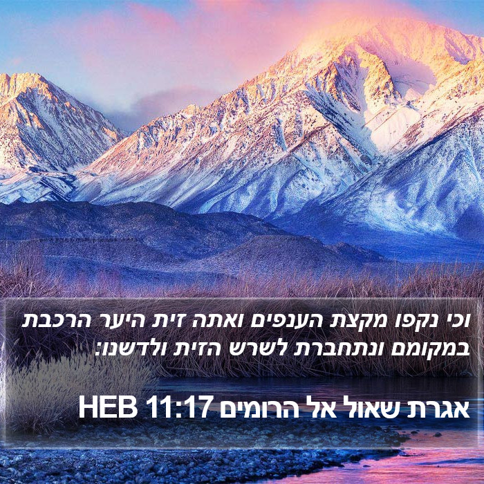 אגרת שאול אל הרומים 11:17 HEB Bible Study