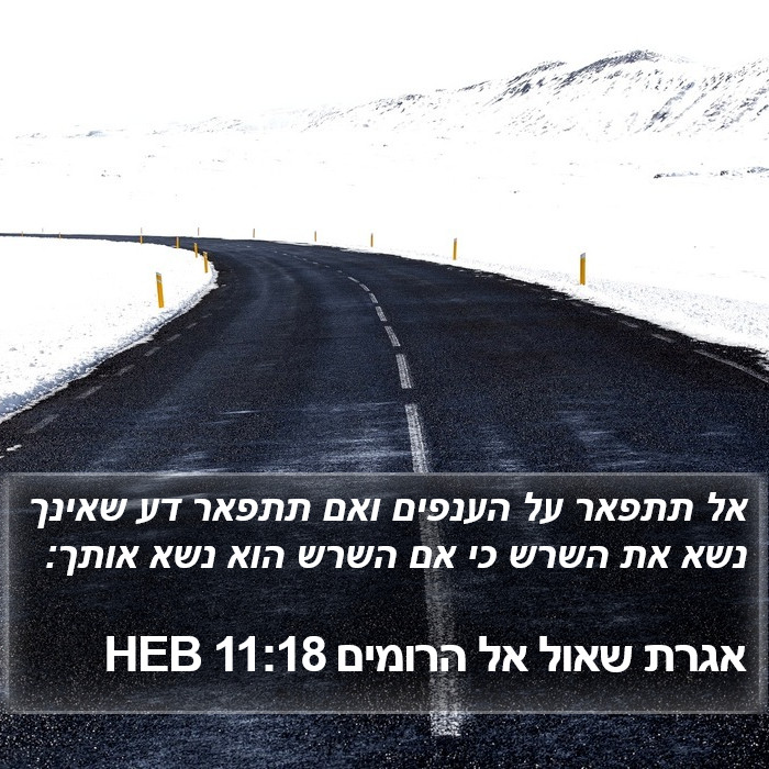 אגרת שאול אל הרומים 11:18 HEB Bible Study