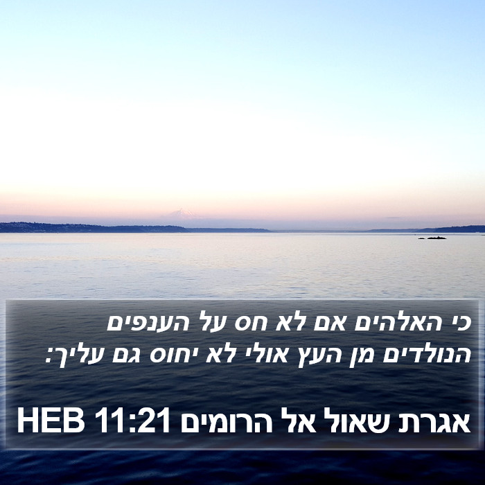 אגרת שאול אל הרומים 11:21 HEB Bible Study