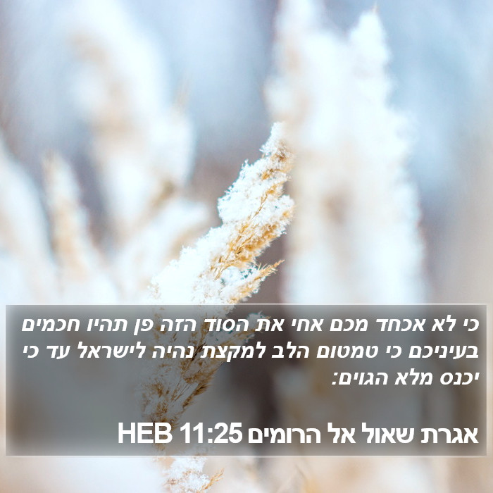 אגרת שאול אל הרומים 11:25 HEB Bible Study