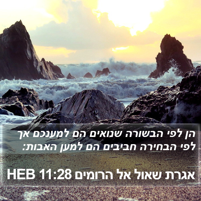 אגרת שאול אל הרומים 11:28 HEB Bible Study