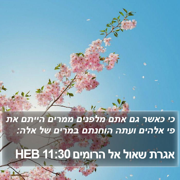 אגרת שאול אל הרומים 11:30 HEB Bible Study
