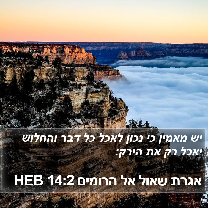 אגרת שאול אל הרומים 14:2 HEB Bible Study