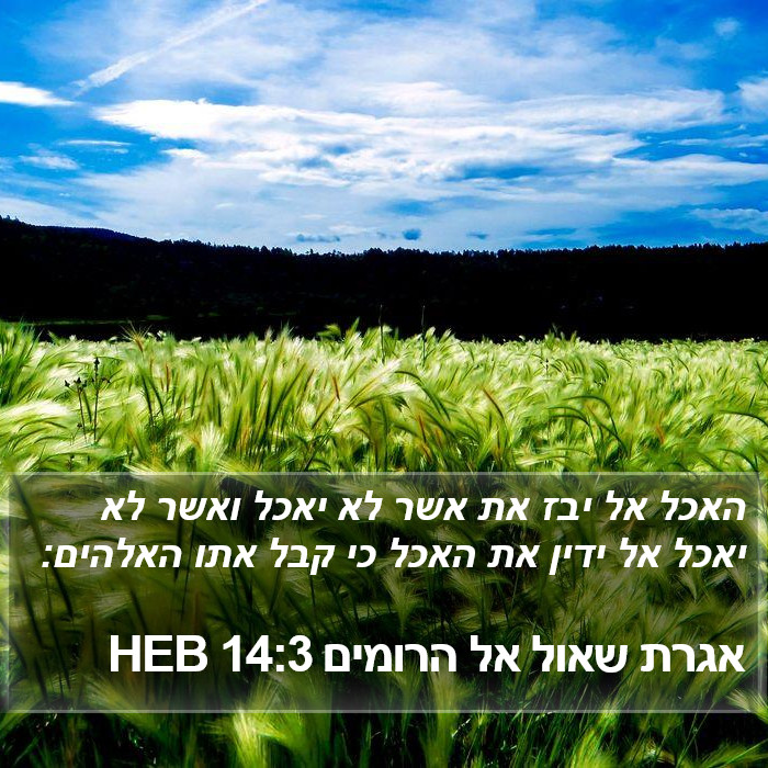 אגרת שאול אל הרומים 14:3 HEB Bible Study