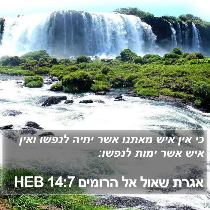 אגרת שאול אל הרומים 14:7 HEB Bible Study