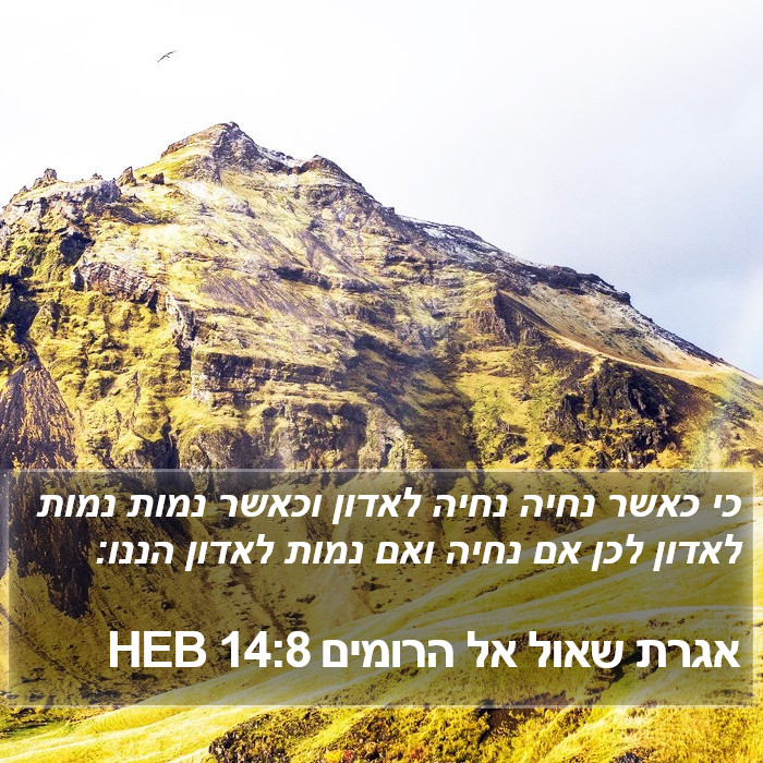 אגרת שאול אל הרומים 14:8 HEB Bible Study