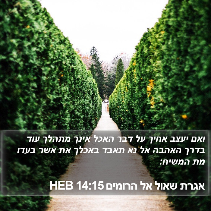 אגרת שאול אל הרומים 14:15 HEB Bible Study