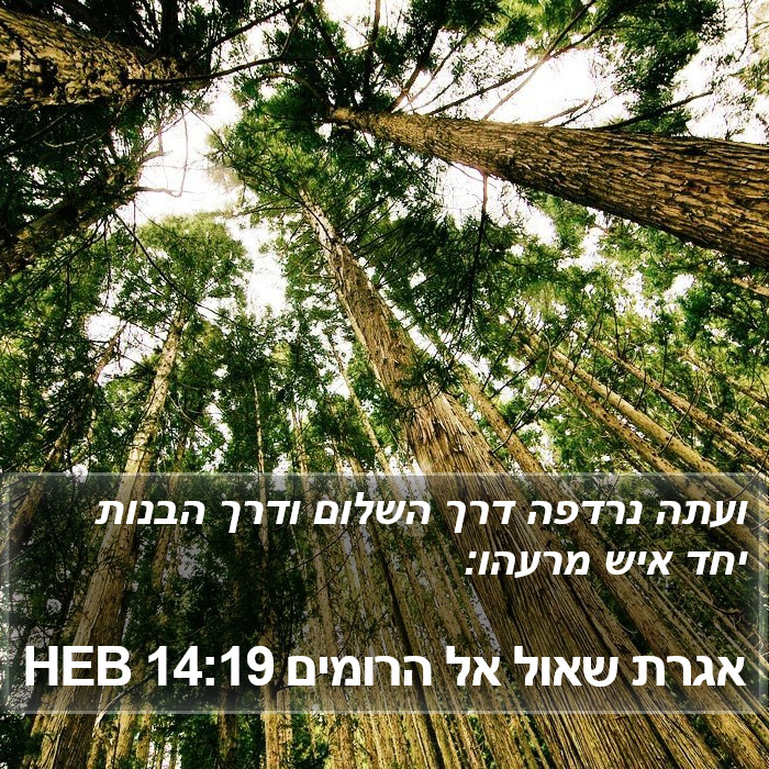 אגרת שאול אל הרומים 14:19 HEB Bible Study