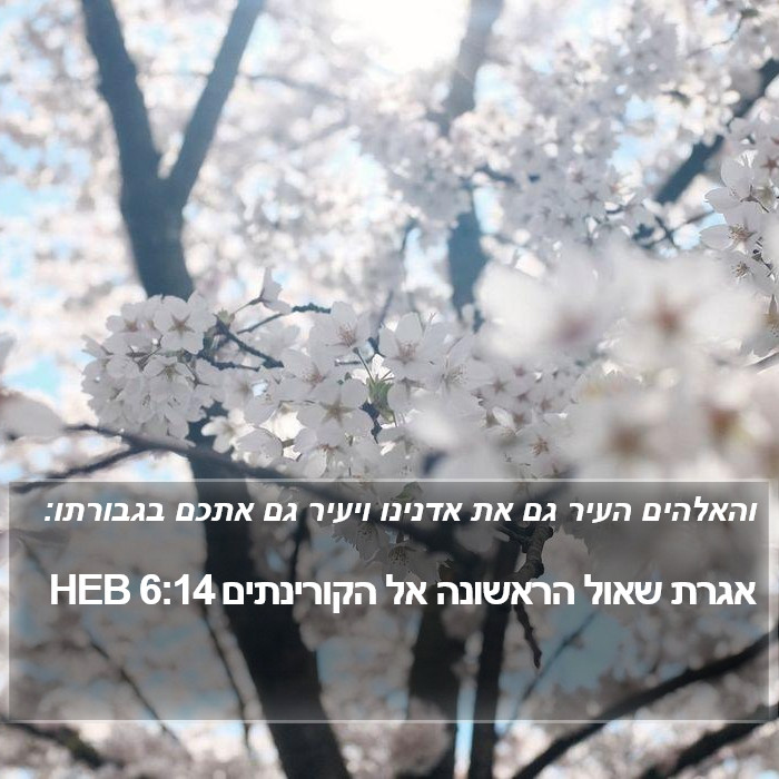 אגרת שאול הראשונה אל הקורינתים 6:14 HEB Bible Study