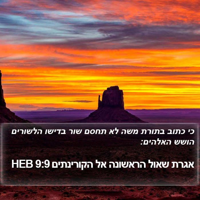 אגרת שאול הראשונה אל הקורינתים 9:9 HEB Bible Study