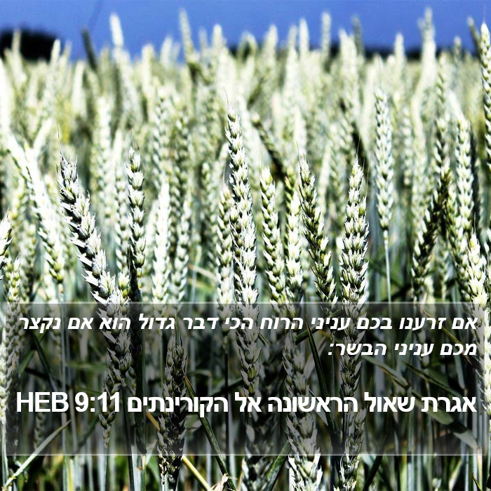 אגרת שאול הראשונה אל הקורינתים 9:11 HEB Bible Study