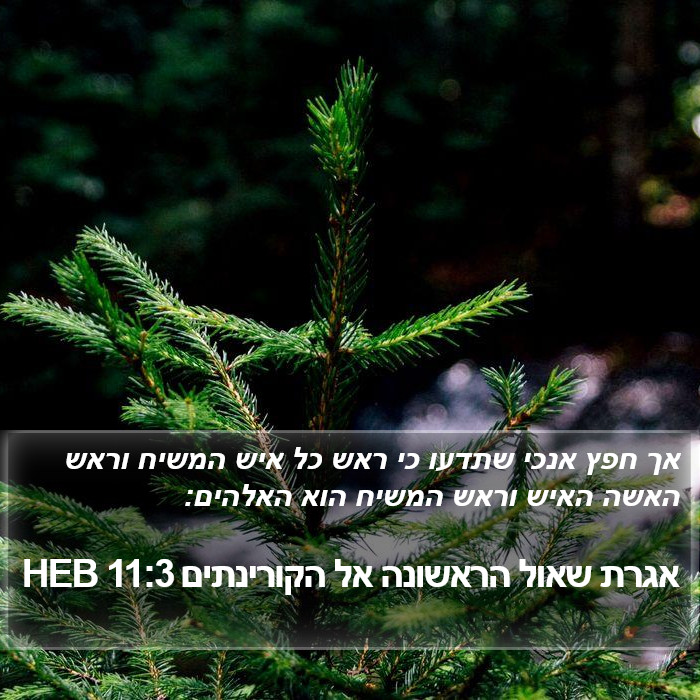 אגרת שאול הראשונה אל הקורינתים 11:3 HEB Bible Study