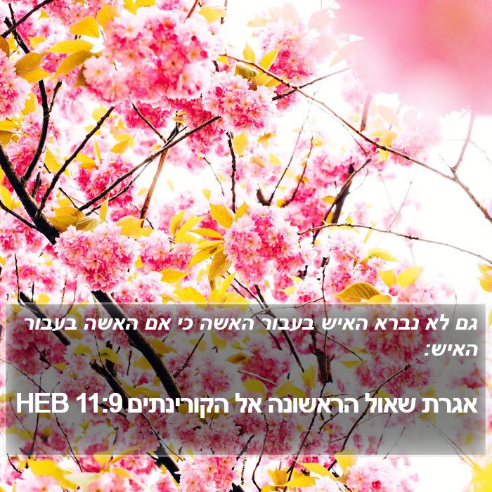 אגרת שאול הראשונה אל הקורינתים 11:9 HEB Bible Study