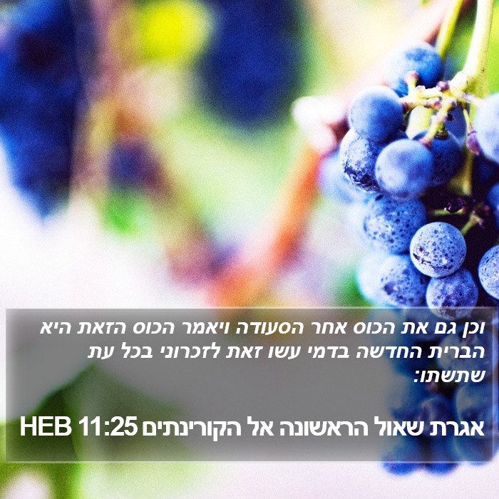 אגרת שאול הראשונה אל הקורינתים 11:25 HEB Bible Study