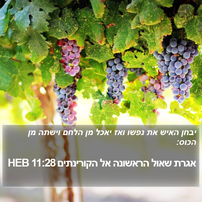 אגרת שאול הראשונה אל הקורינתים 11:28 HEB Bible Study