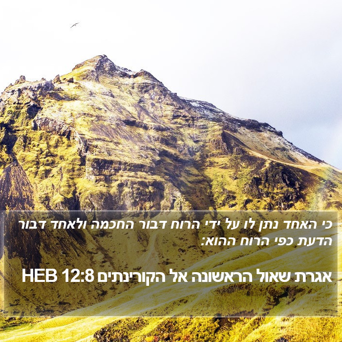 אגרת שאול הראשונה אל הקורינתים 12:8 HEB Bible Study
