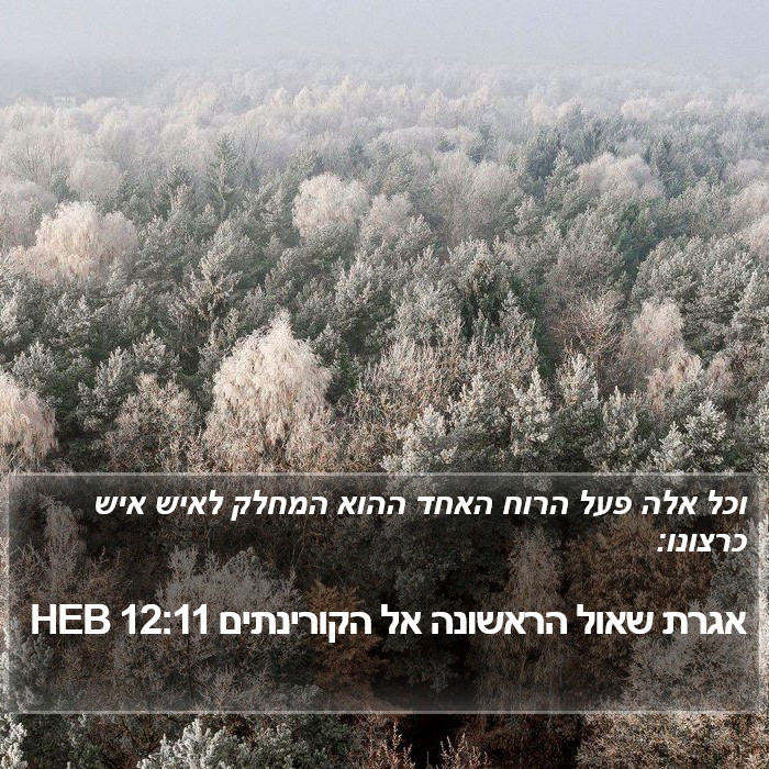 אגרת שאול הראשונה אל הקורינתים 12:11 HEB Bible Study