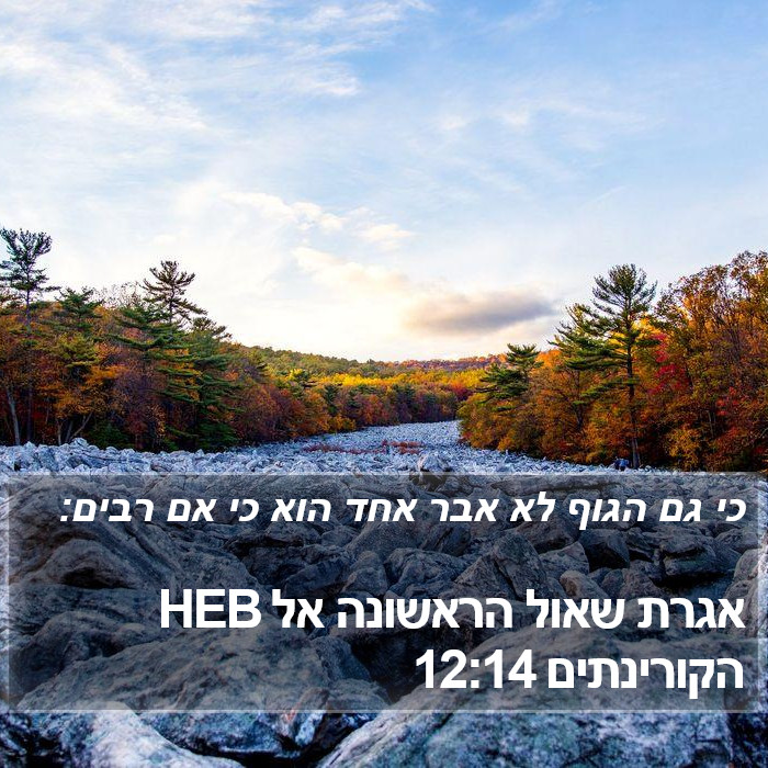 אגרת שאול הראשונה אל הקורינתים 12:14 HEB Bible Study