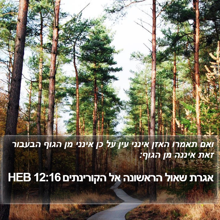 אגרת שאול הראשונה אל הקורינתים 12:16 HEB Bible Study