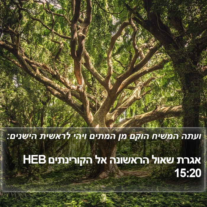 אגרת שאול הראשונה אל הקורינתים 15:20 HEB Bible Study