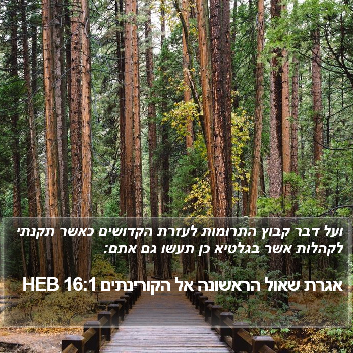 אגרת שאול הראשונה אל הקורינתים 16:1 HEB Bible Study