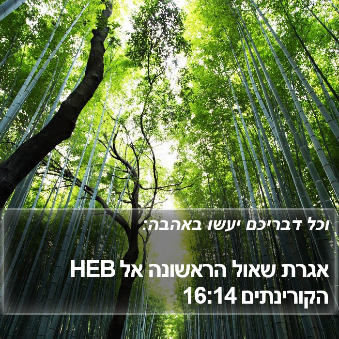 אגרת שאול הראשונה אל הקורינתים 16:14 HEB Bible Study