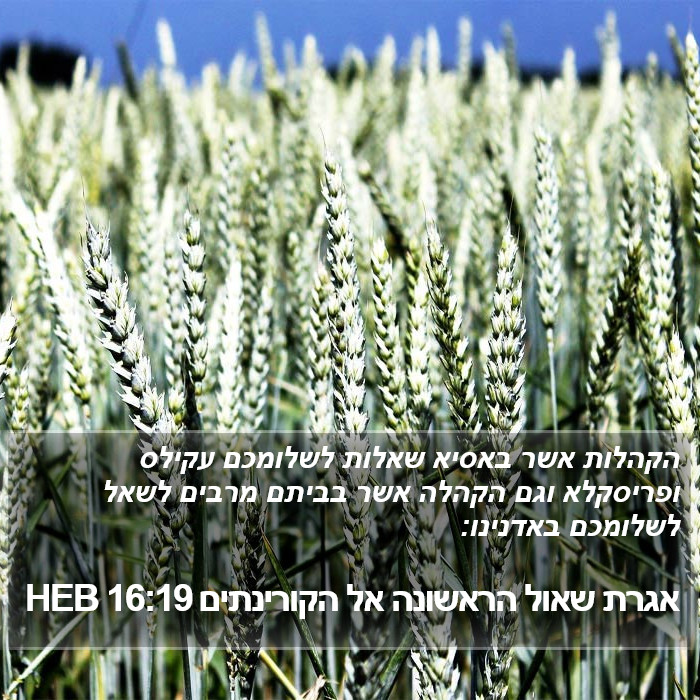 אגרת שאול הראשונה אל הקורינתים 16:19 HEB Bible Study