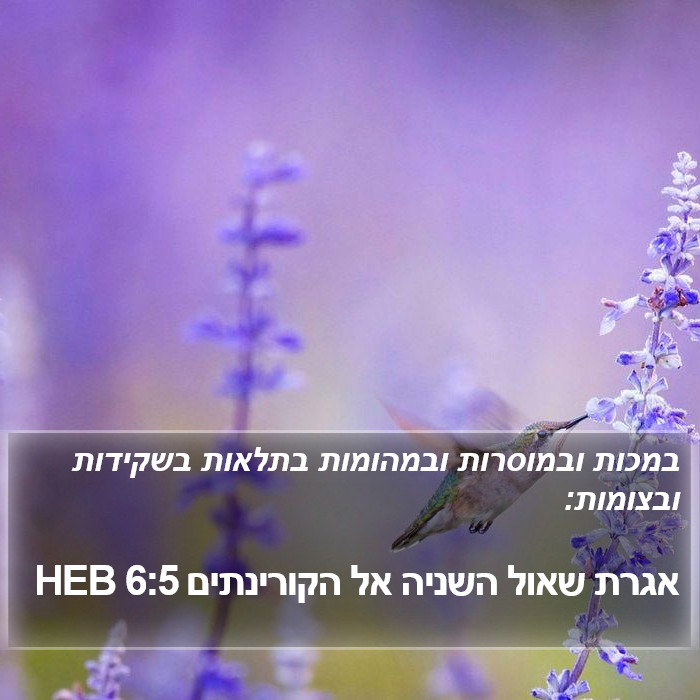 אגרת שאול השניה אל הקורינתים 6:5 HEB Bible Study